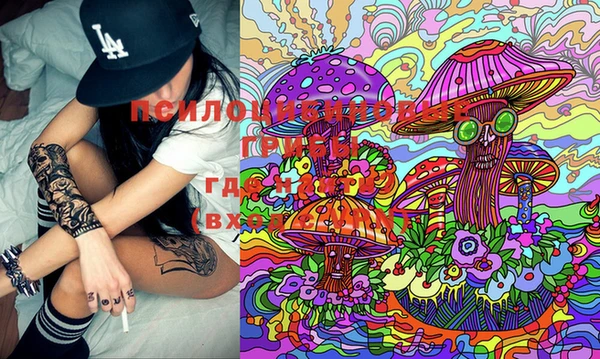 mix Осинники