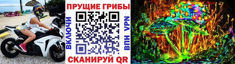 Купить где  Сычёвка  Галлюциногенные грибы Psilocybe 